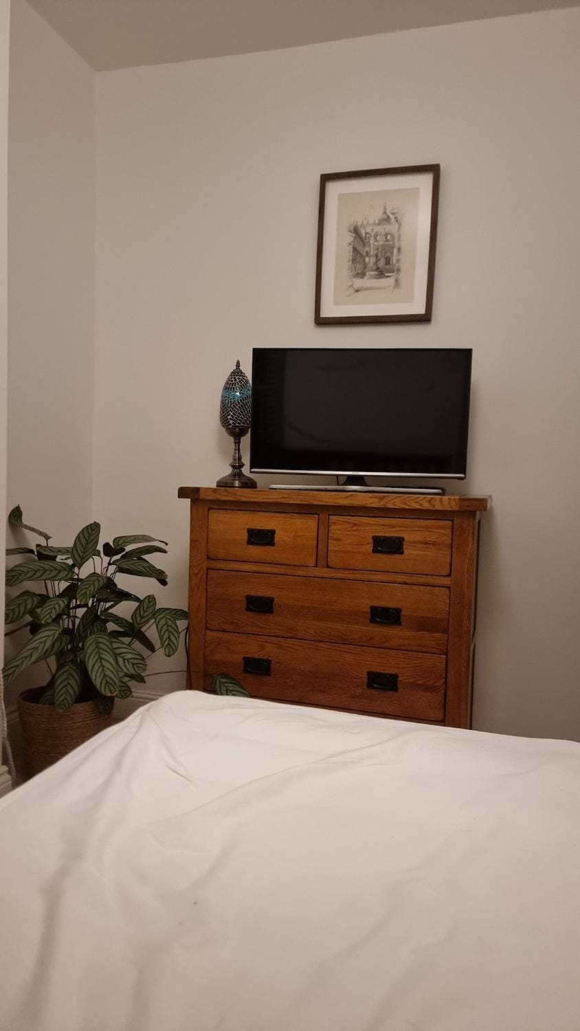 Lovely 3 bed terrace house House in Cardiff
