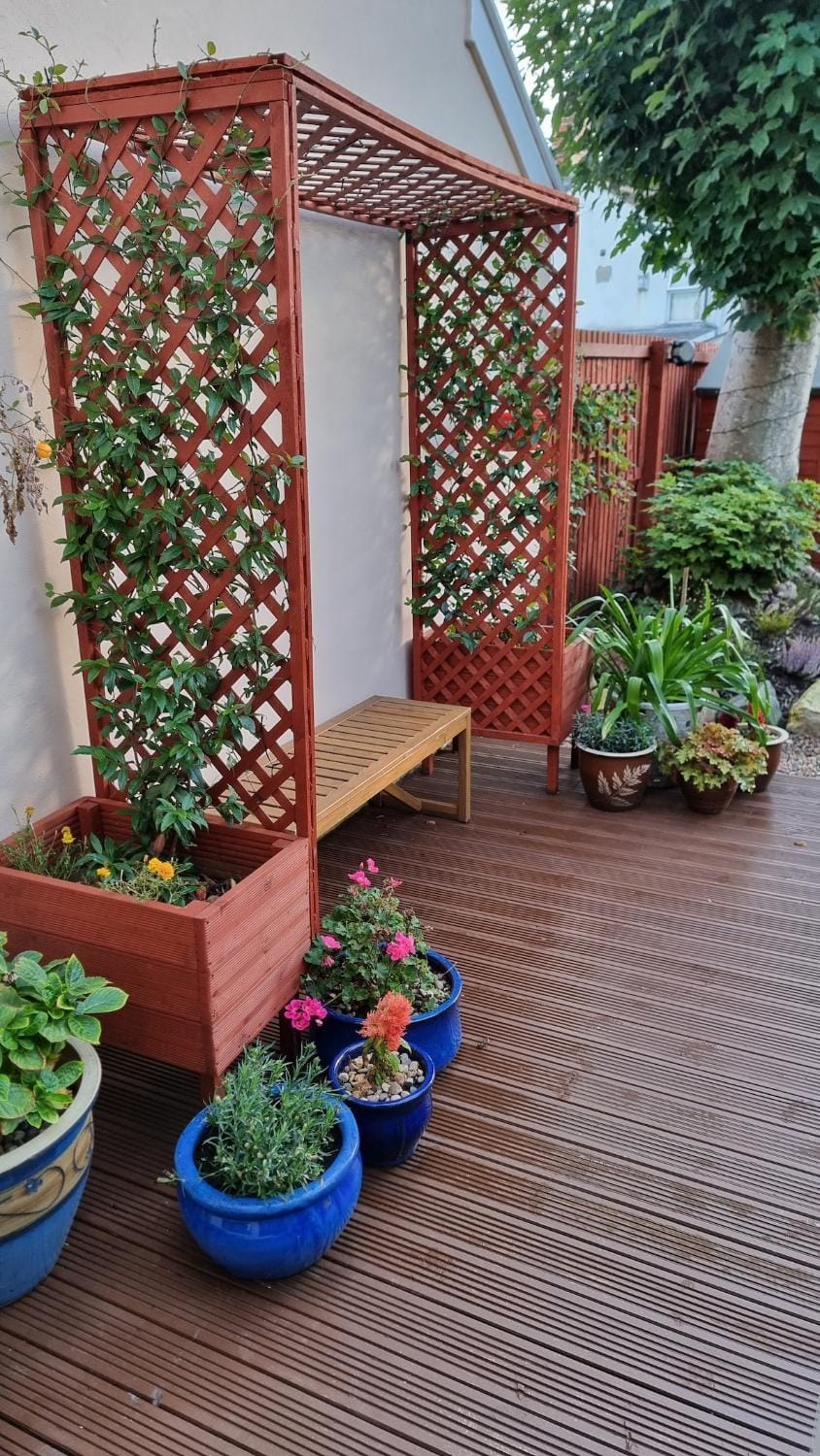 Lovely 3 bed terrace house House in Cardiff