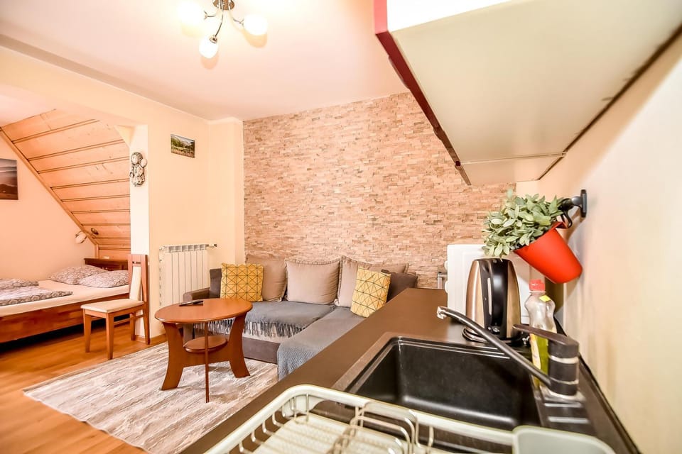 Bed, TV and multimedia, Kitchen or kitchenette, Living room, Photo of the whole room, Seating area, Bedroom