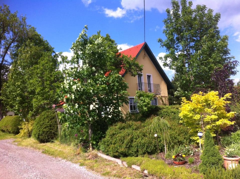Property building, Spring, Day, Garden view