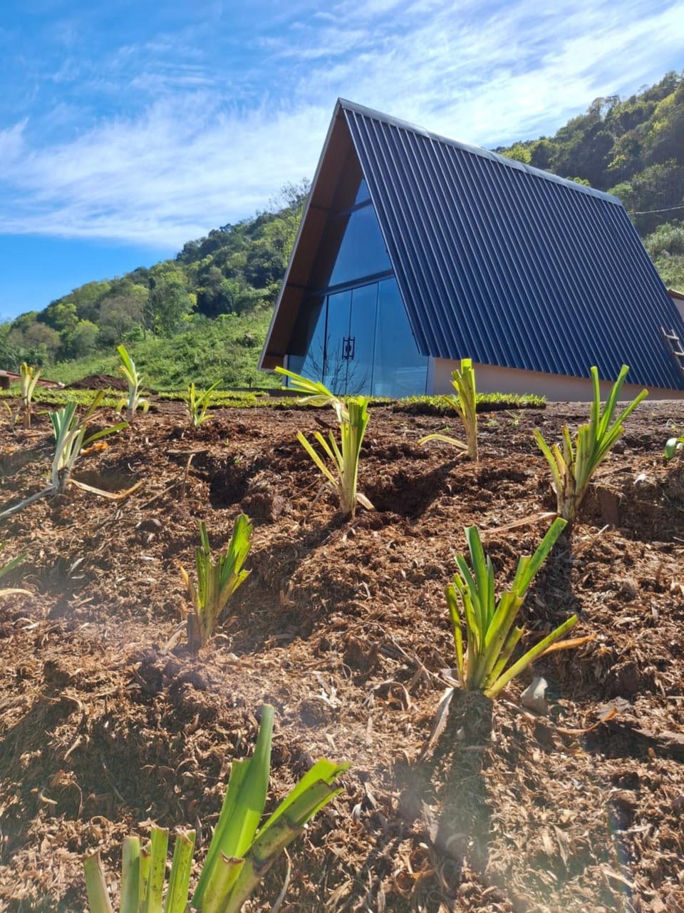 Chalé Floreser Nature lodge in State of Santa Catarina