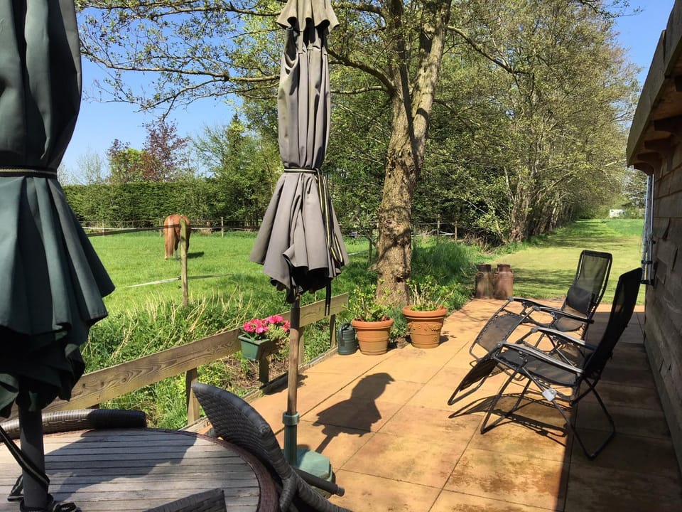 Garden, Balcony/Terrace