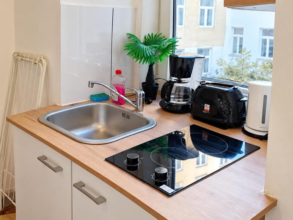 Kitchen or kitchenette, stove, toaster