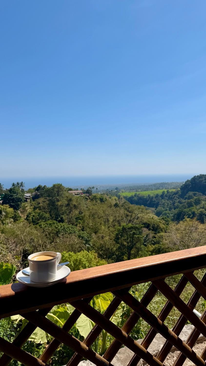 Day, Natural landscape, View (from property/room), Balcony/Terrace, Sea view