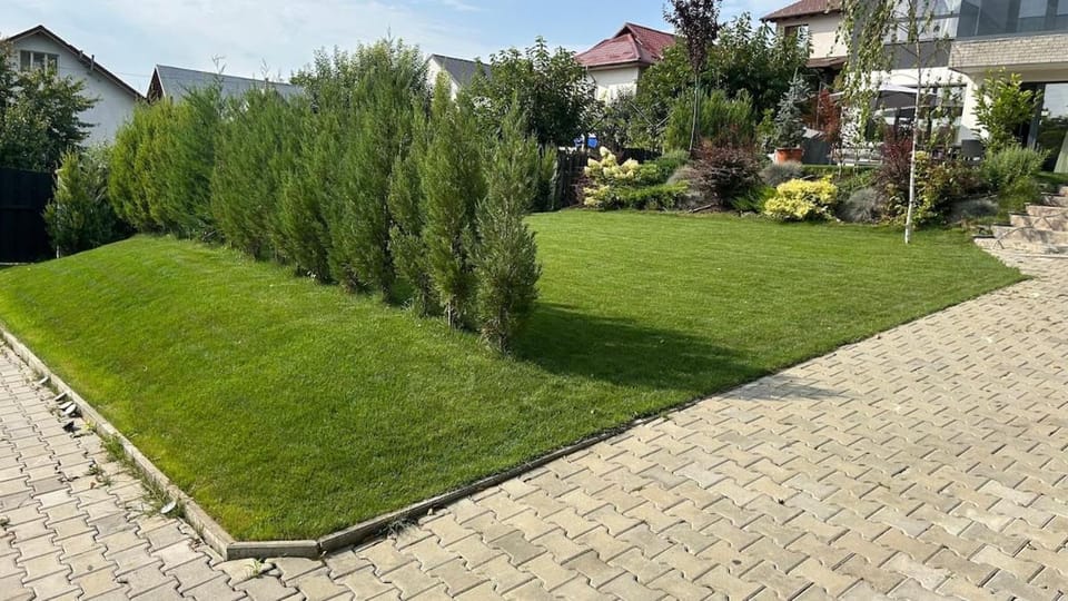Executive villa with garden near Palas Mall Villa in Romania