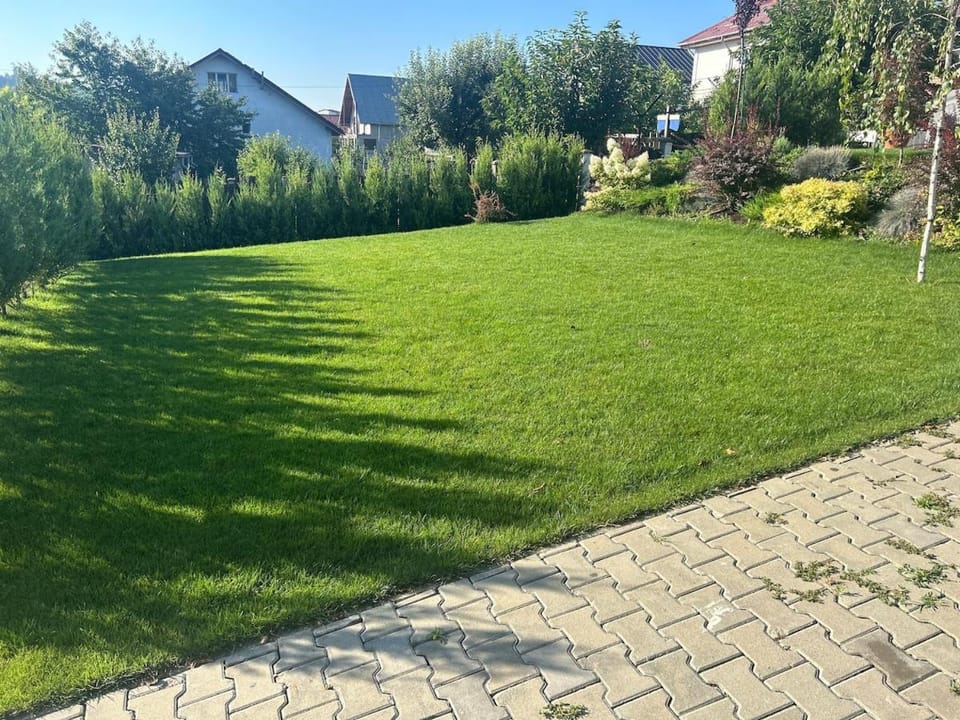 Executive villa with garden near Palas Mall Villa in Romania