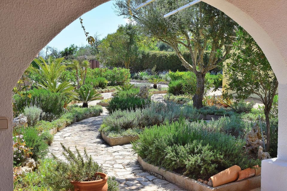 Patio, Garden, Garden view