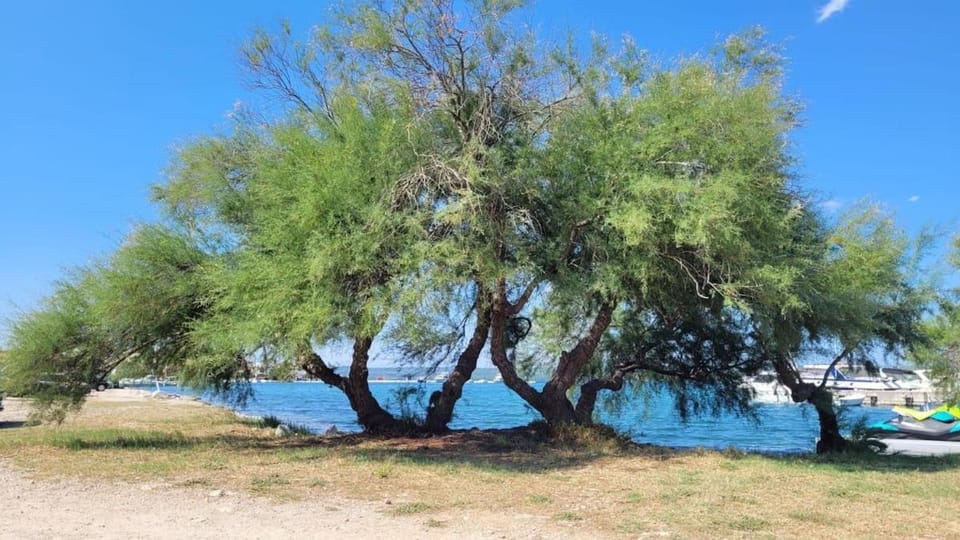 Natural landscape