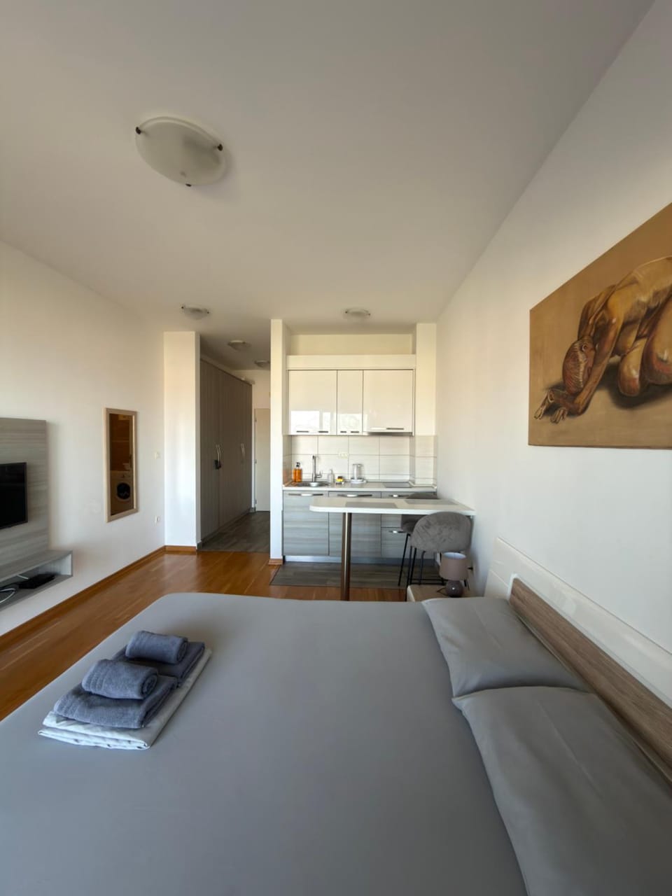 Bed, TV and multimedia, Kitchen or kitchenette, Photo of the whole room