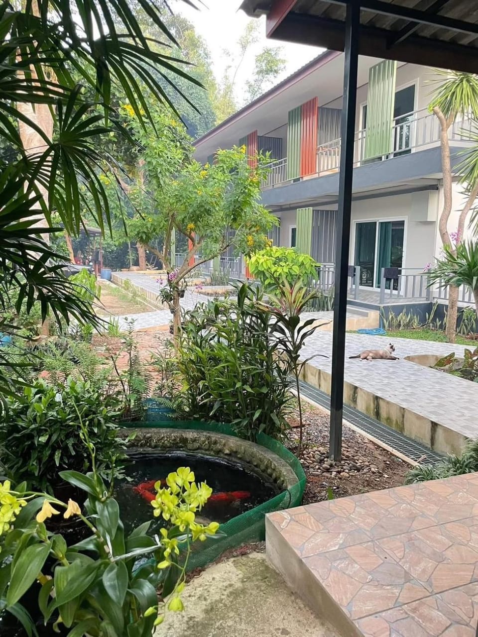 Garden view