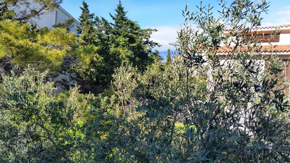 Garden view, Sea view