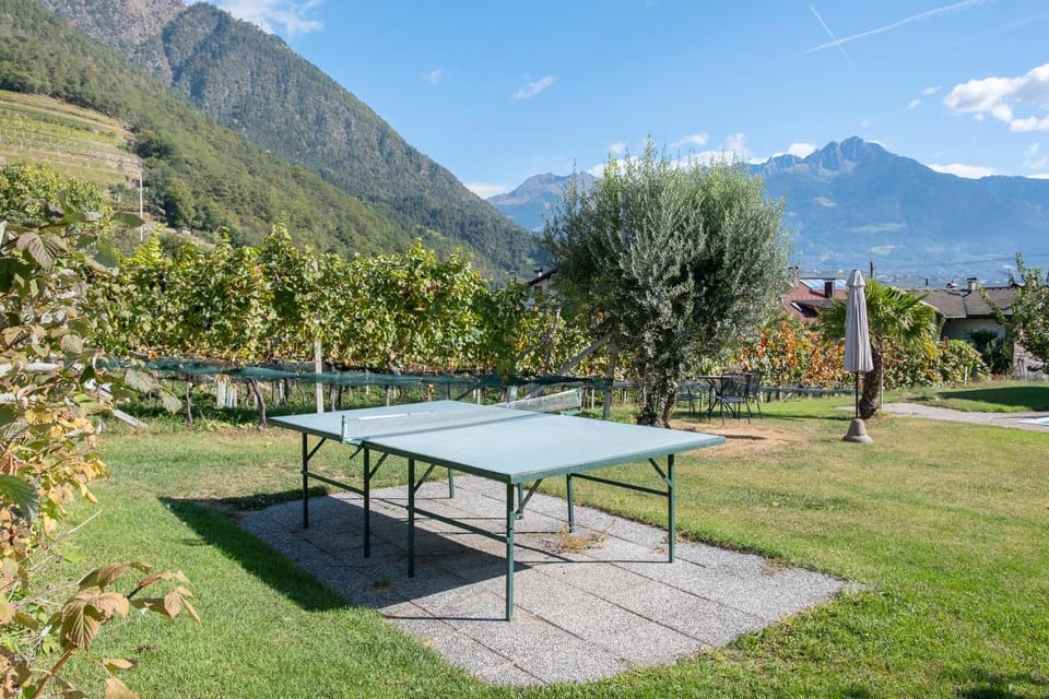 Frelich Apartments Apartment in Algund