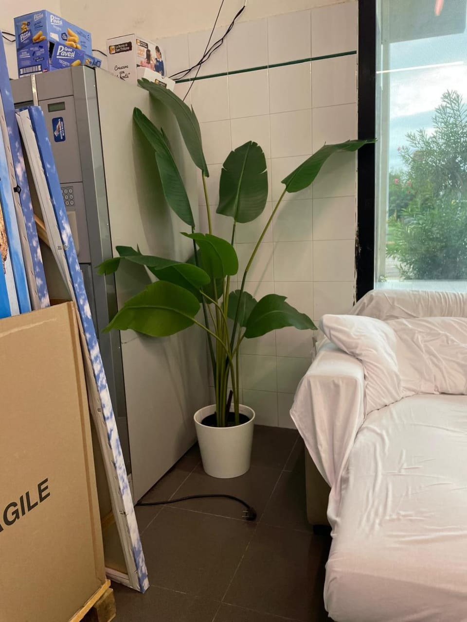 Demi's House Apartment in Baia Verde