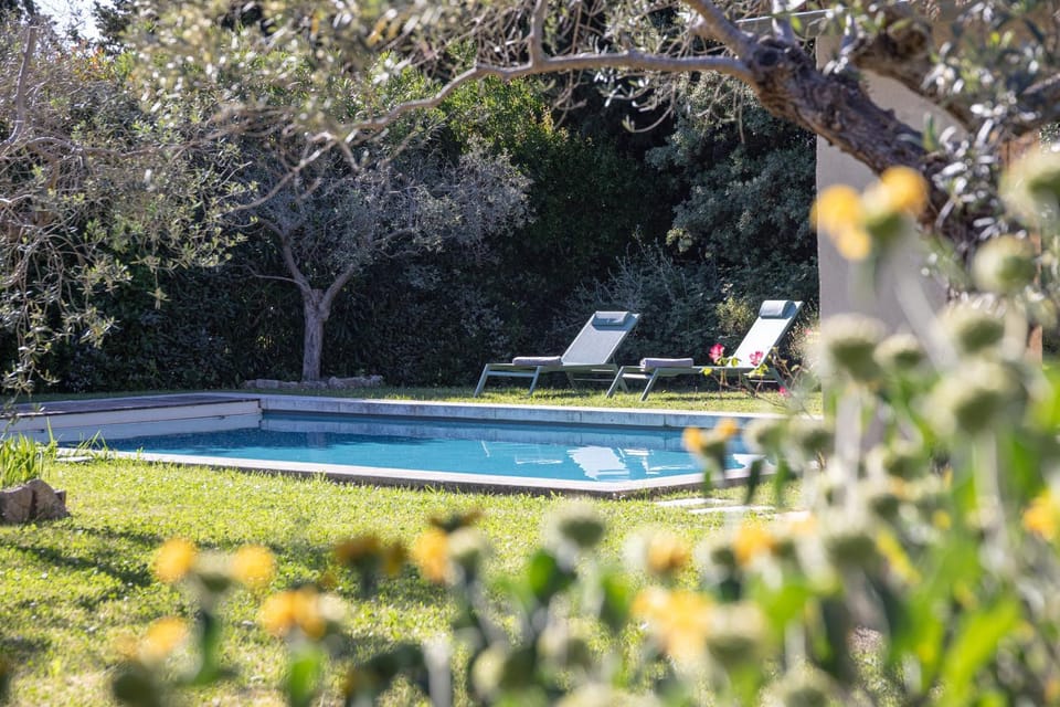Property building, Living room, Swimming pool