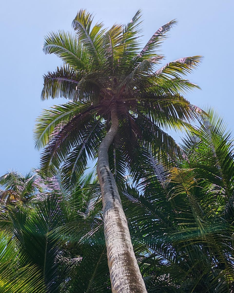 Natural landscape
