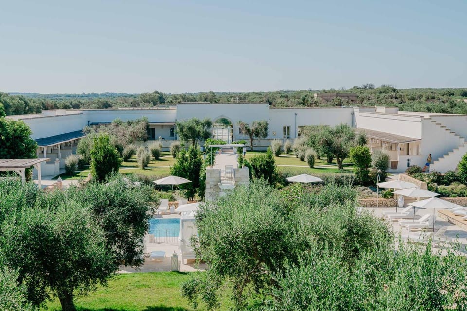 Natural landscape, Bird's eye view, Garden, Pool view