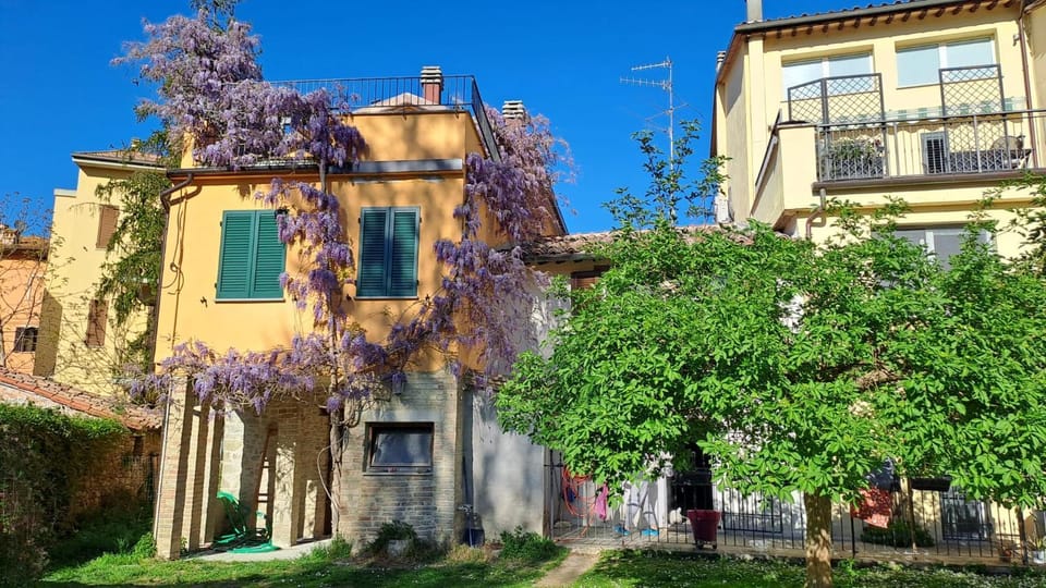 Property building, Spring, Garden, Garden, Garden view