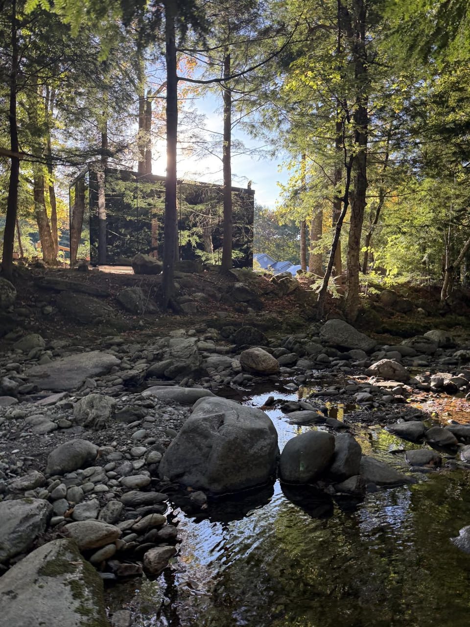 Natural landscape, River view