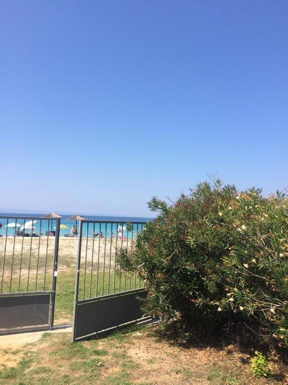Garden, Sea view