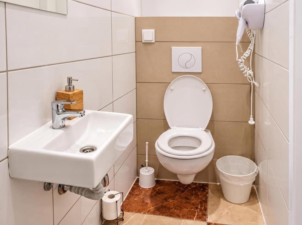 Toilet, Bathroom, bidet