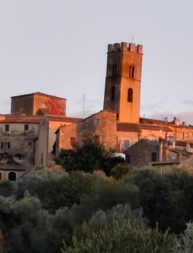 Mili apartment with garden near Saturnia Apartment in Montemerano