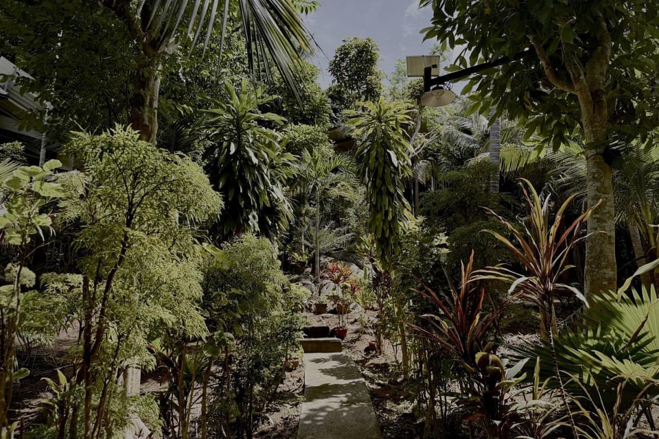 Day, Natural landscape, Garden, Garden view