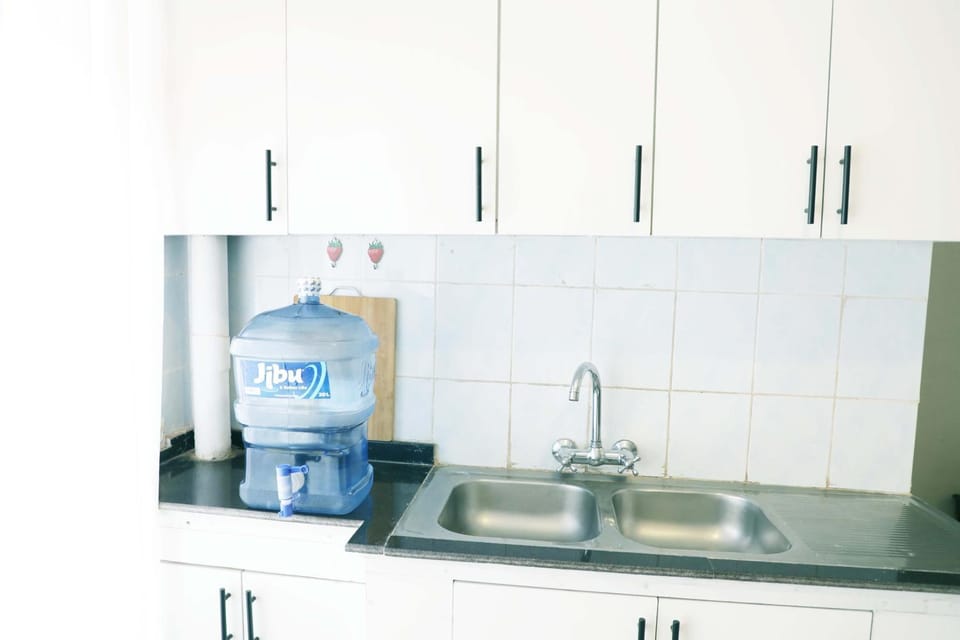 Kitchen or kitchenette, dishwasher