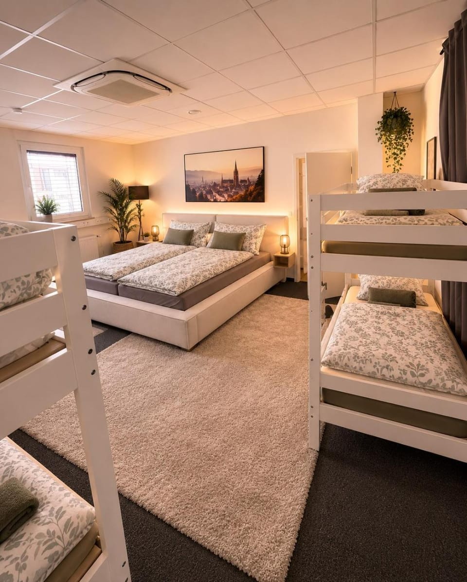 Bed, Photo of the whole room, Bedroom, bunk bed