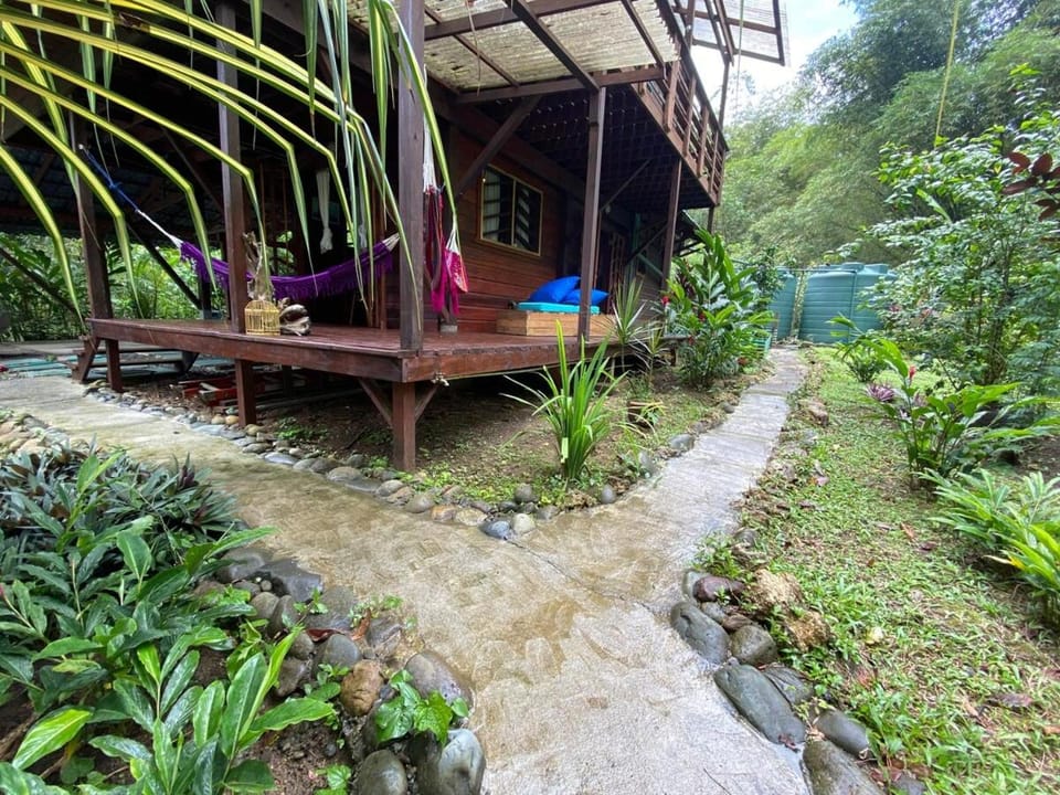Utopia Jungle Retreat Full Home House in Bocas del Toro Province