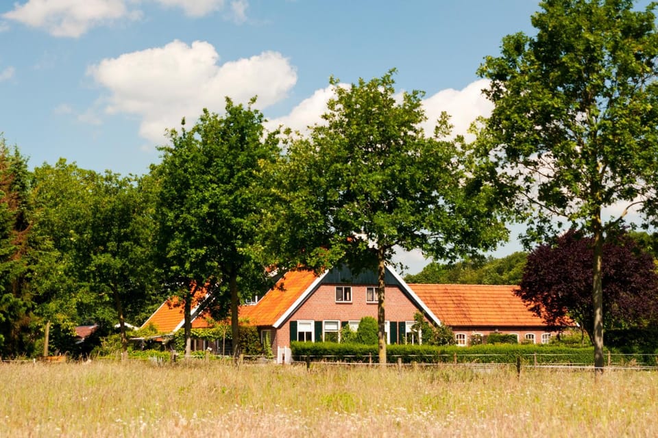 Natural landscape