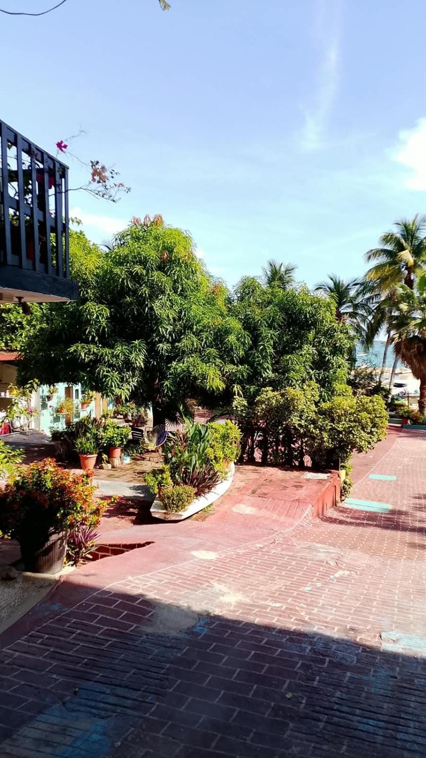 Hotel las palmas Hotel in Puerto Escondido