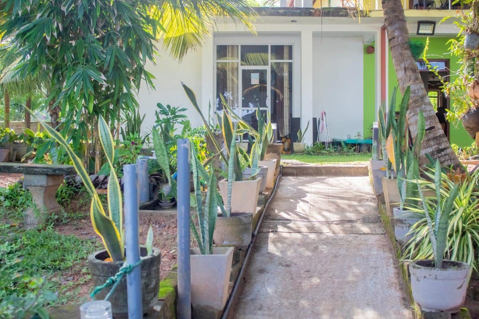 Property building, Day, Garden view