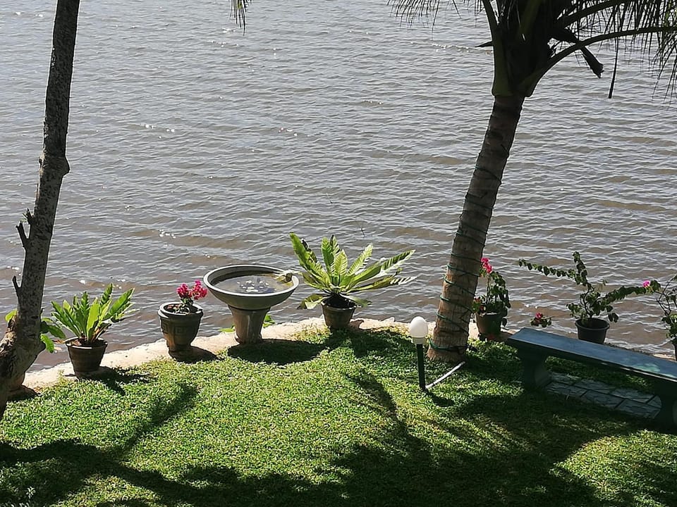 Natural landscape, Garden, Lake view