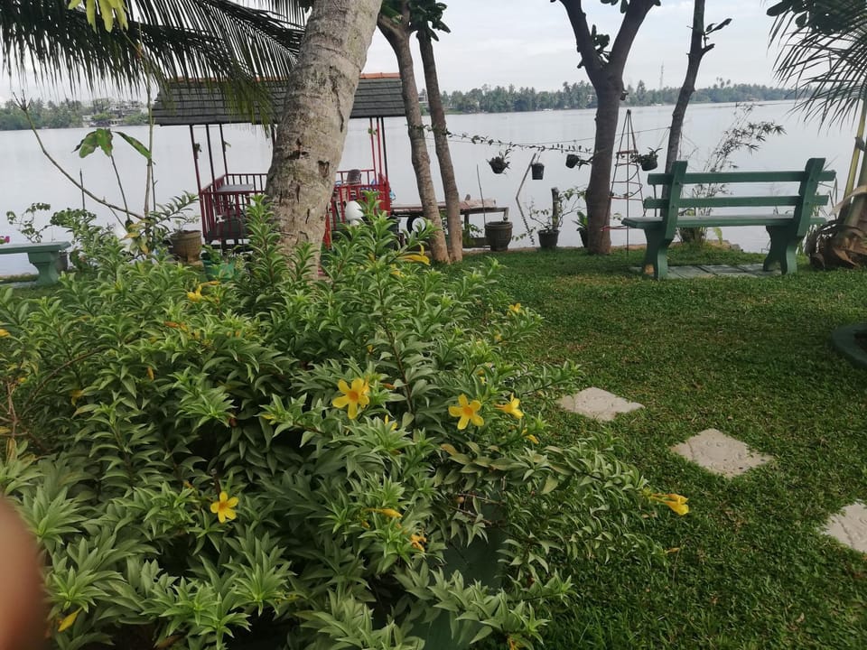 Garden, Garden view, River view