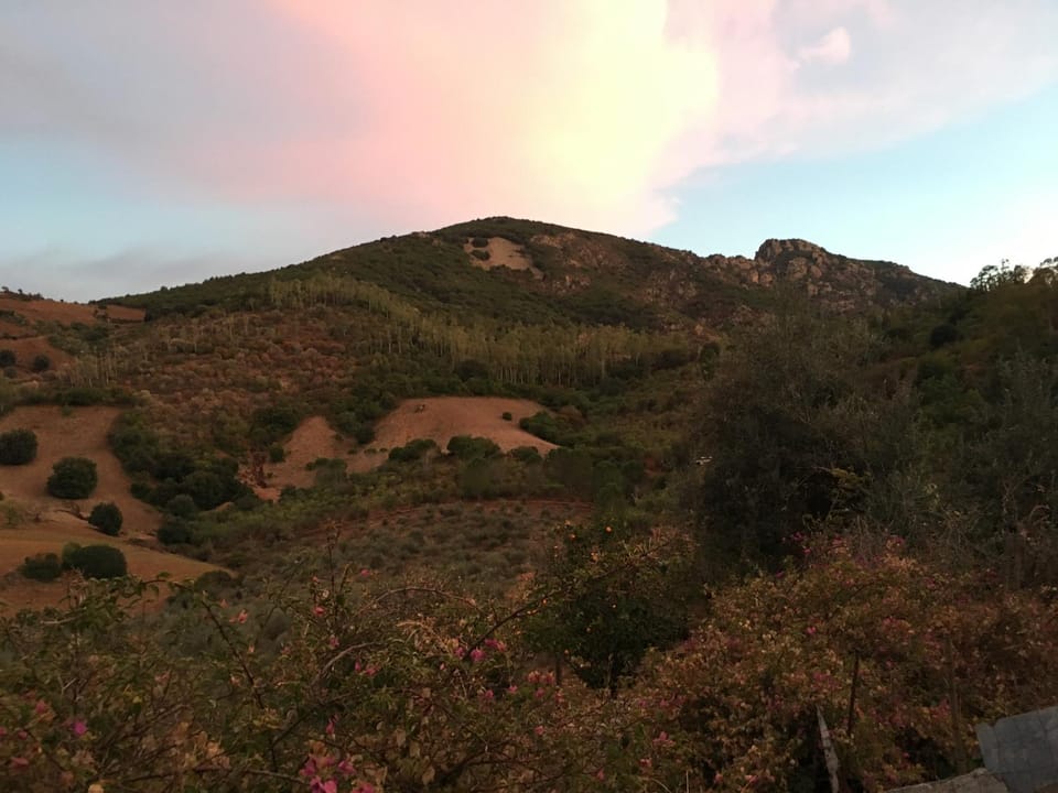 Agriturismo S'Orgiola Farm Stay in Sardinia