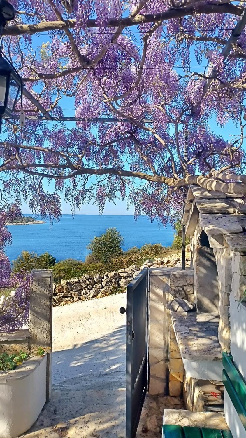 Natural landscape, Garden, View (from property/room), Balcony/Terrace, Garden view, Sea view