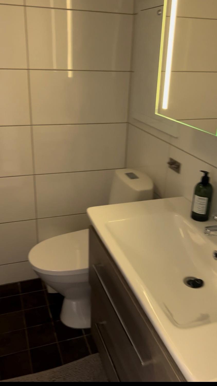 Shower, Toilet, Sauna
