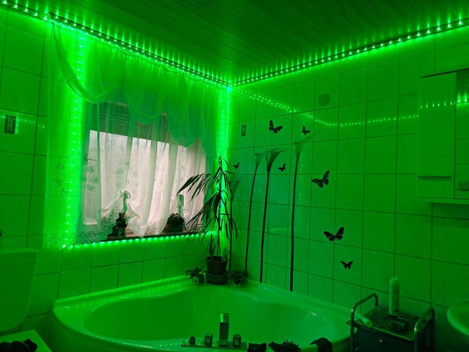 Shower, Toilet, Bathroom, Bath