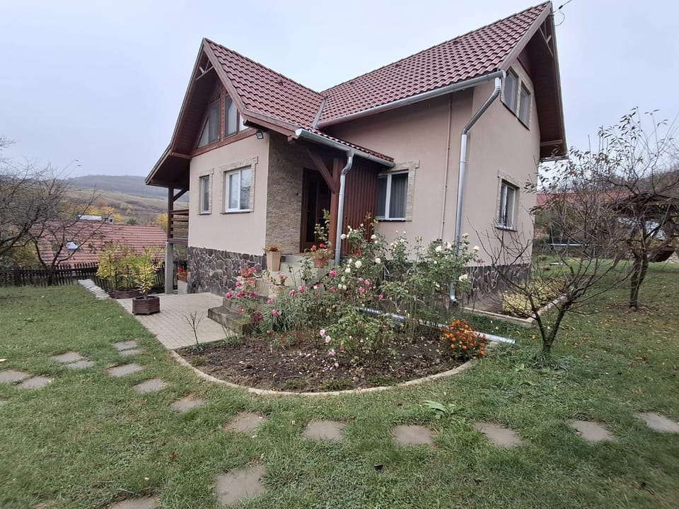 Cozy home Hodgya House in Romania