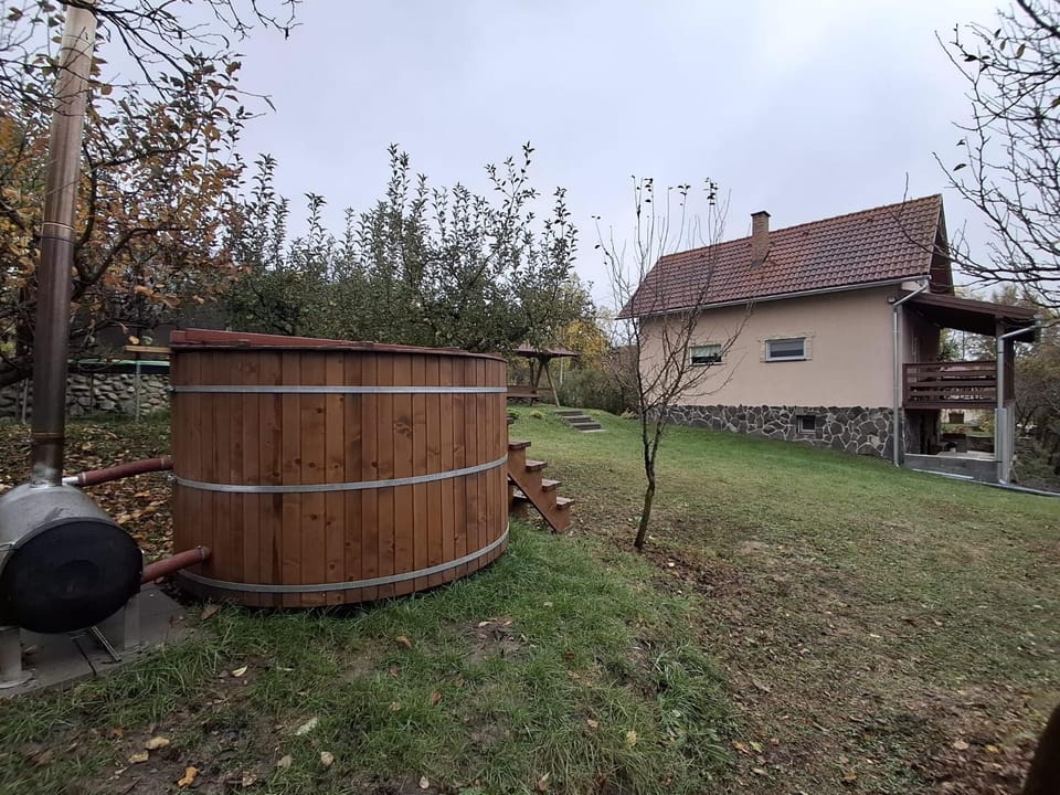 Cozy home Hodgya House in Romania