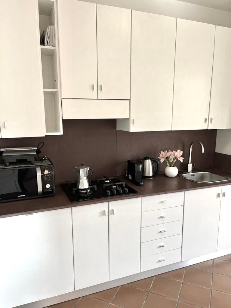 Albatros Apartment in Sirmione