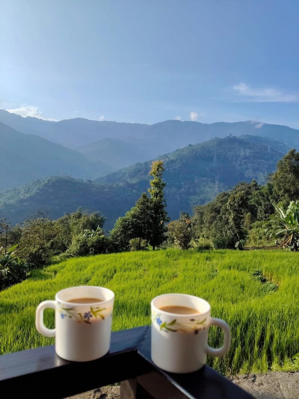 Bijonbari Cozy Retreat Homestay Vacation rental in West Bengal