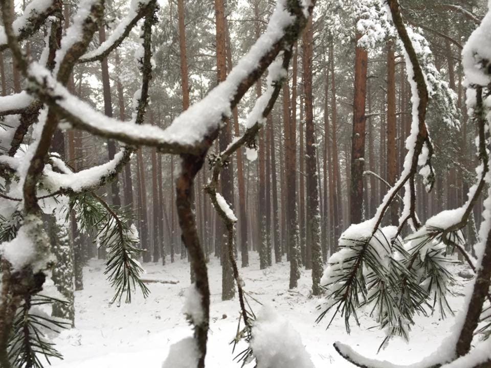 Winter