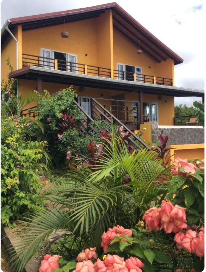 Kaye Mango House in Caribbean