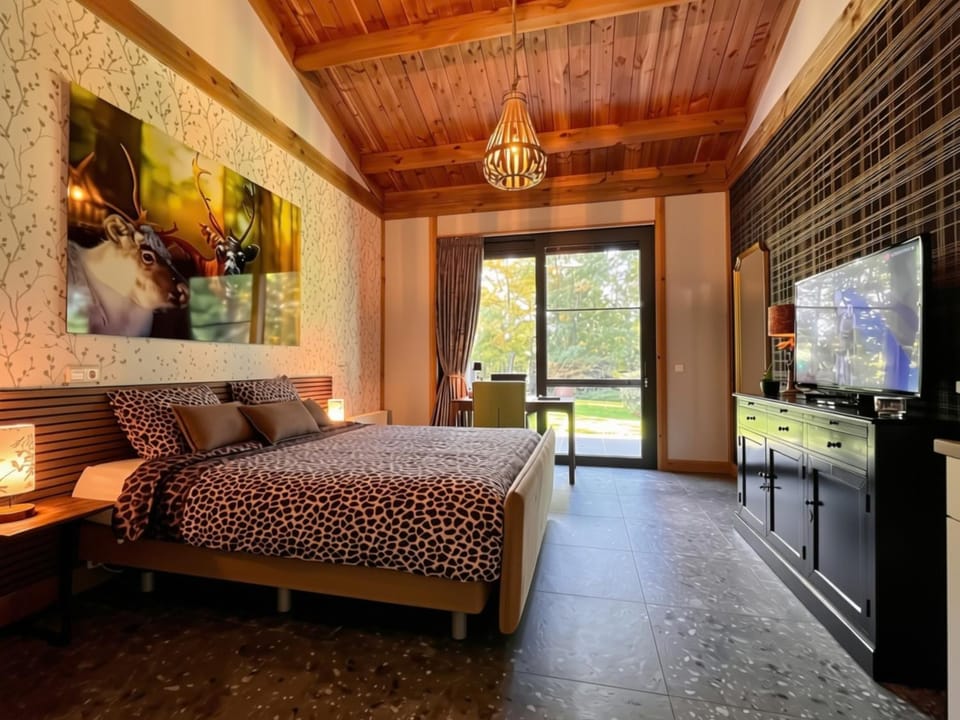 Bed, TV and multimedia, Photo of the whole room, Bedroom