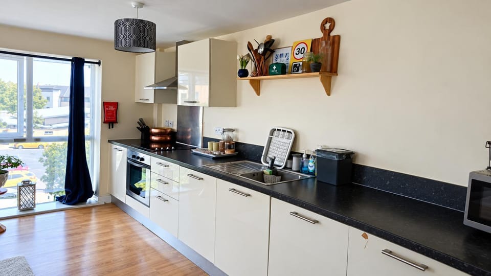 Kitchen or kitchenette, dishwasher, oven, stove, toaster