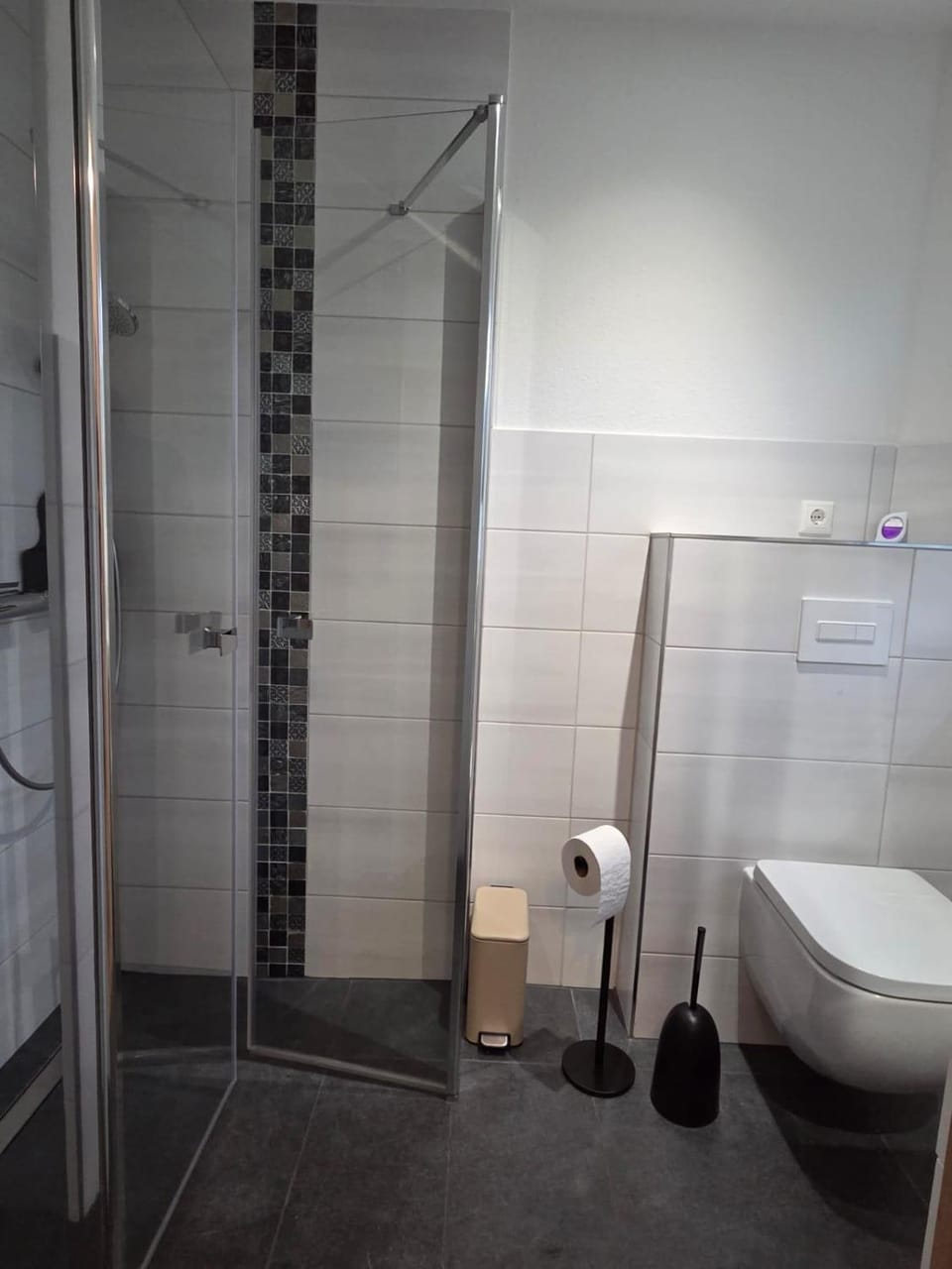 Shower, Toilet