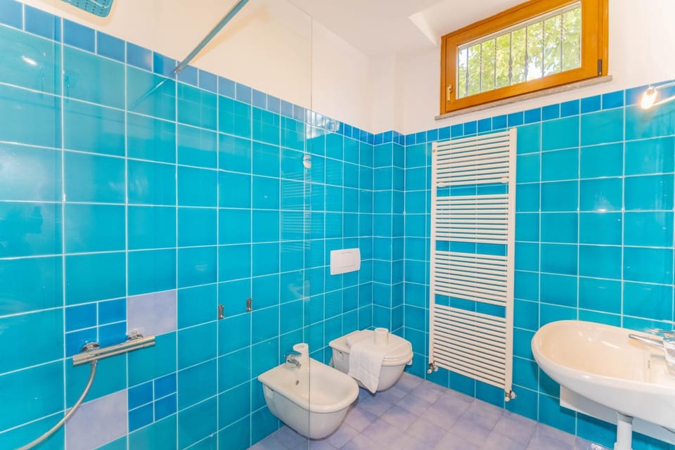 Shower, Toilet, Bathroom, bidet