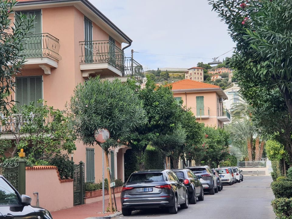 Neighbourhood, Street view