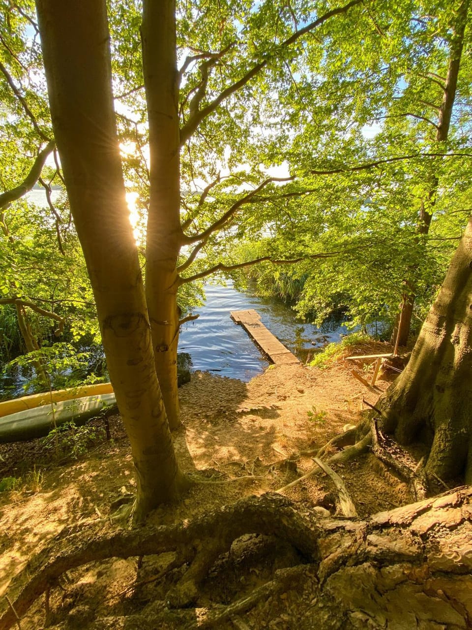 Lakeside farmhouse with 20 hectares of nature House in Mecklenburgische Seenplatte